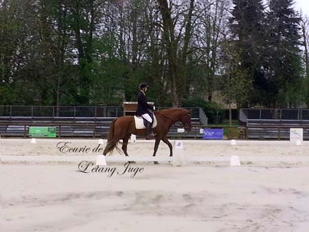 FECHERO CONCOURS ETANG JUGE (4)