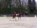 FECHERO CONCOURS ETANG JUGE (4)
