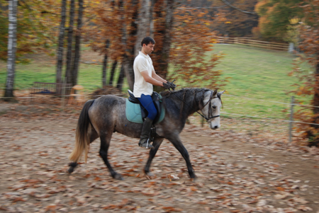 connse (2)