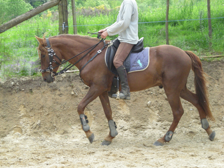 PREPSLQU (2)