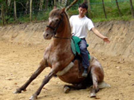 aa