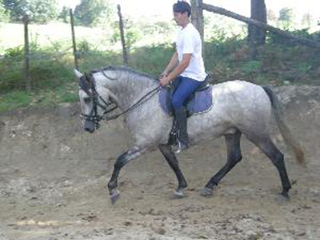 bb (10)